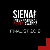 SIPA_contest_Finalist_Logo_2018.jpg